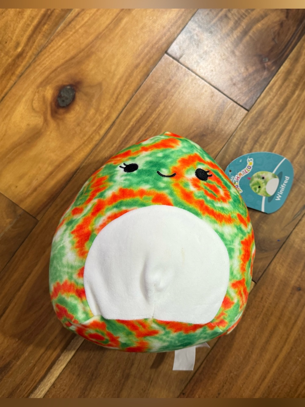 Squishmallow! Winifred the Gecko